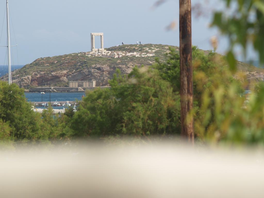 Apartmán Vasiliki'S House Naxos City Exteriér fotografie